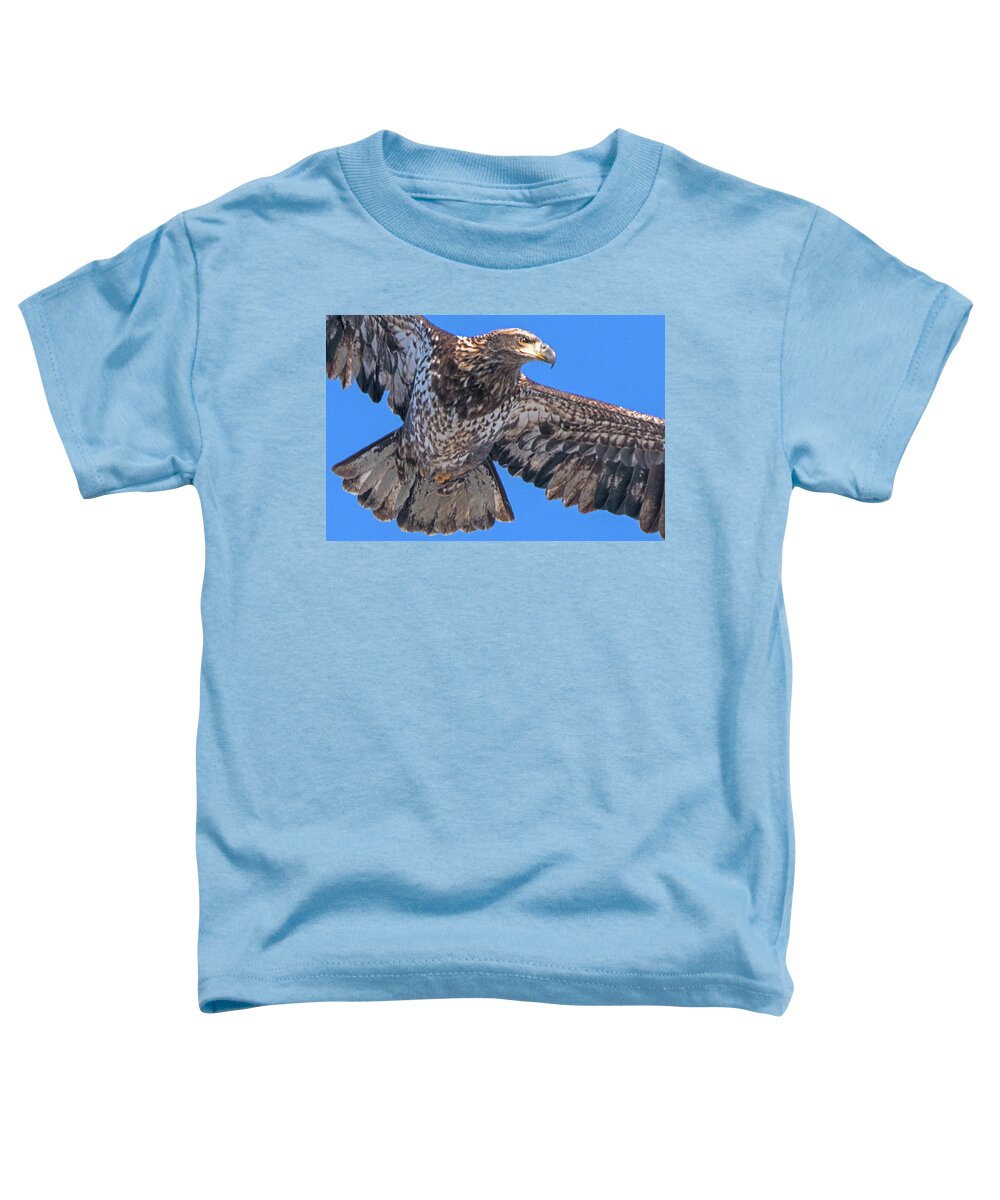Eagle Toddler T-Shirt featuring the photograph Immature Eagle in Flight #3 by Ira Marcus
