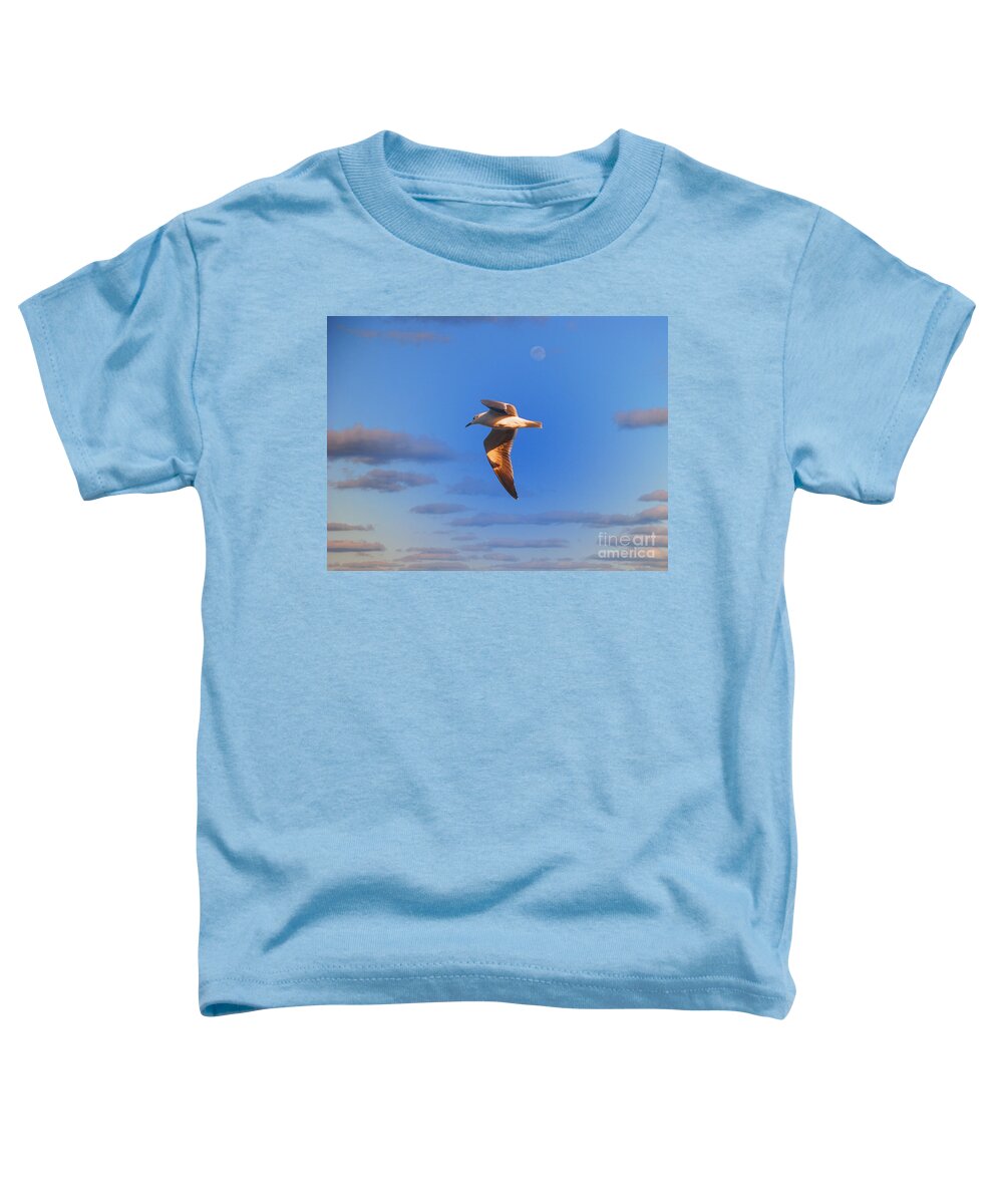 Seagull Toddler T-Shirt featuring the photograph 25- Seagull by Joseph Keane