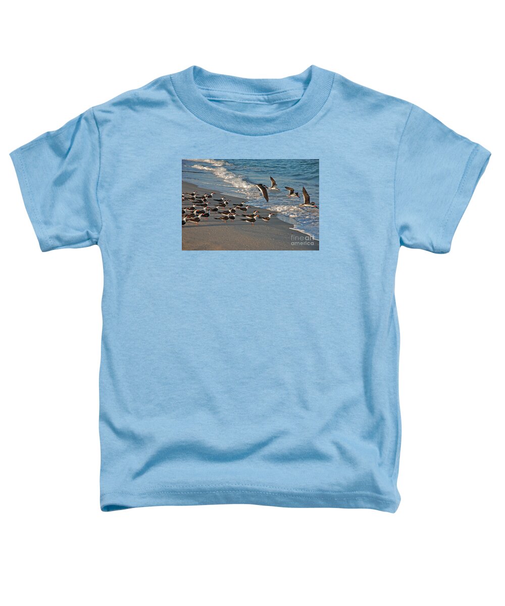 Black Skimmers Toddler T-Shirt featuring the photograph 30- Black Skimmers by Joseph Keane