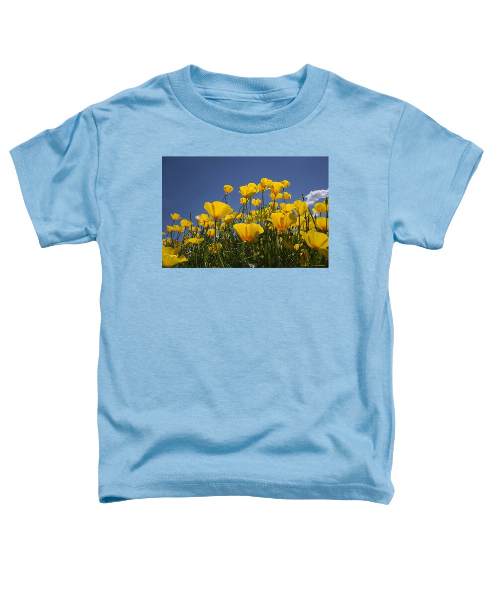 Face Mask Toddler T-Shirt featuring the photograph A Little Sunshine by Lucinda Walter