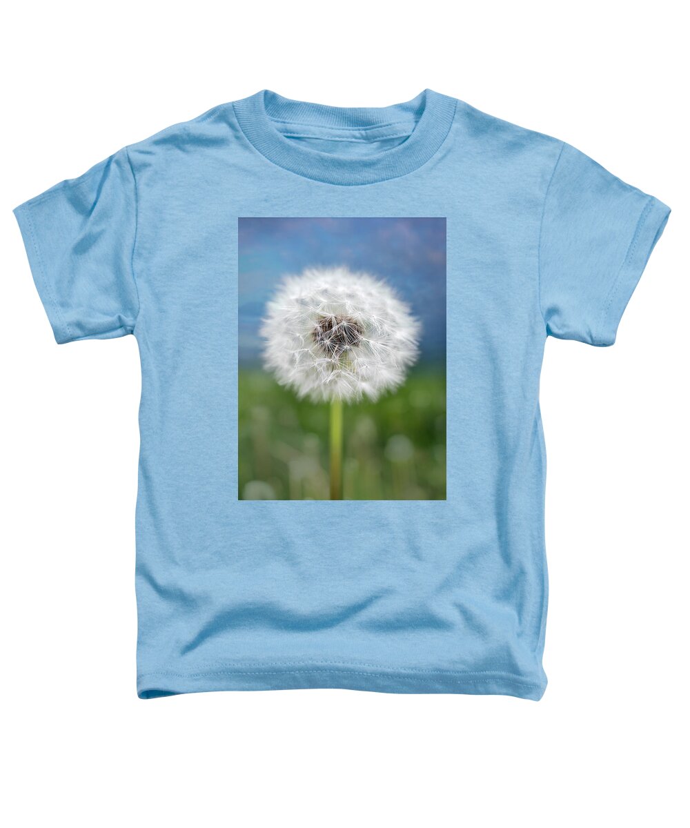 Nature Toddler T-Shirt featuring the photograph A single dandelion seed pod by Robert FERD Frank
