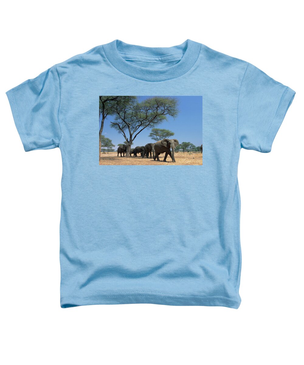Mp Toddler T-Shirt featuring the photograph African Elephant Loxodonta Africana by Gerry Ellis
