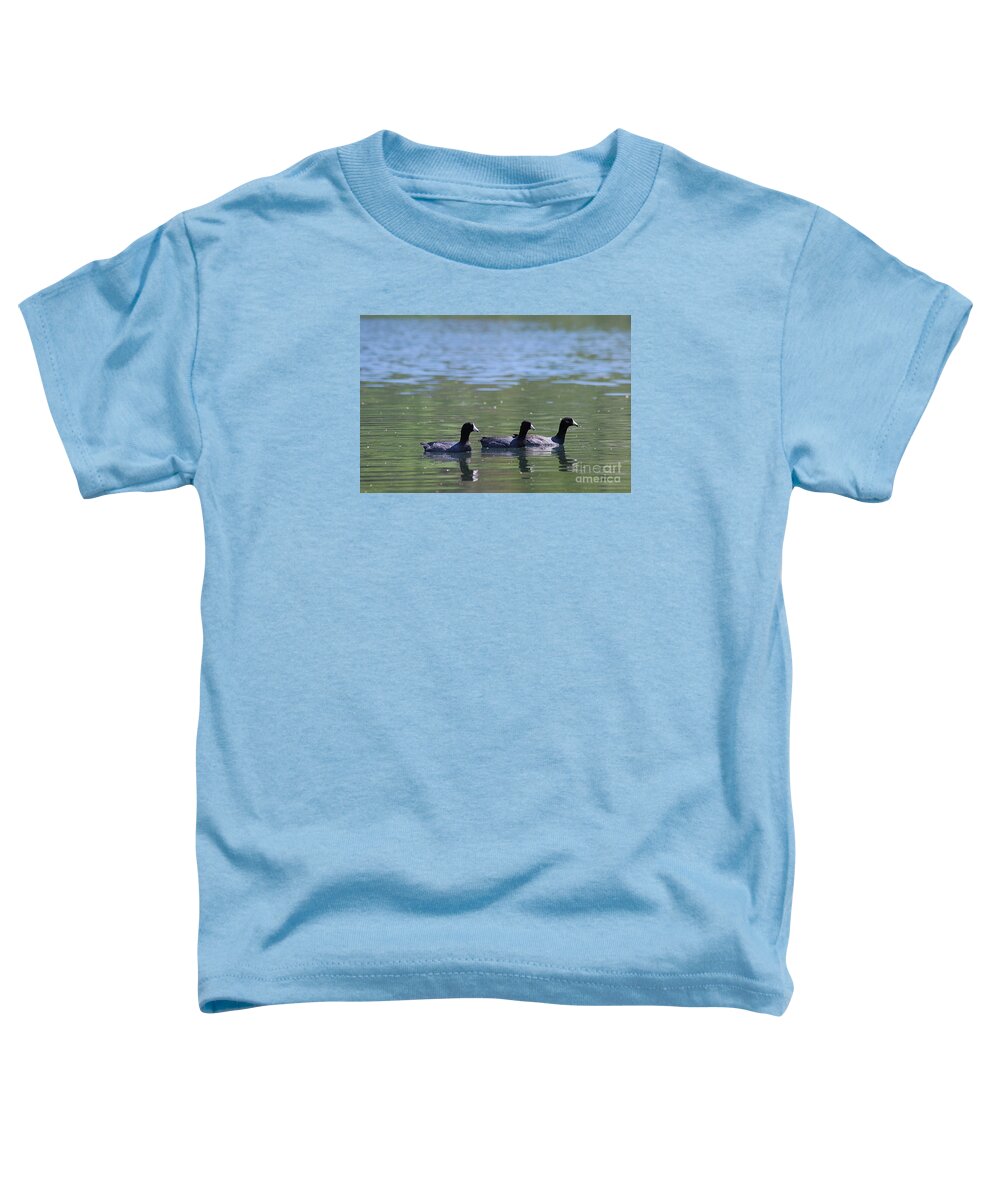 American Coot Toddler T-Shirt featuring the photograph American Coots 20120416_143a by Tina Hopkins