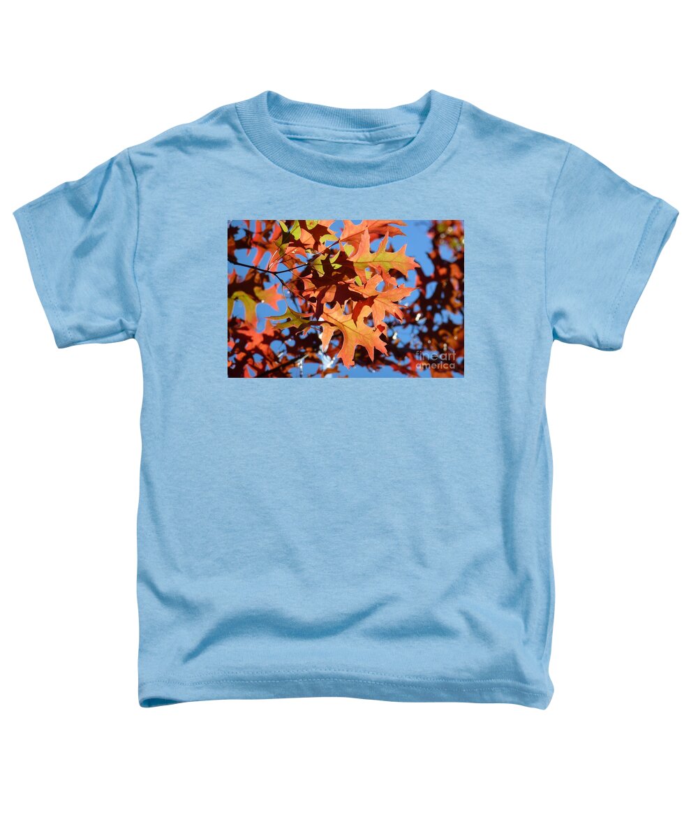 Autumn Toddler T-Shirt featuring the photograph Autumn Leaves 17 by Jean Bernard Roussilhe