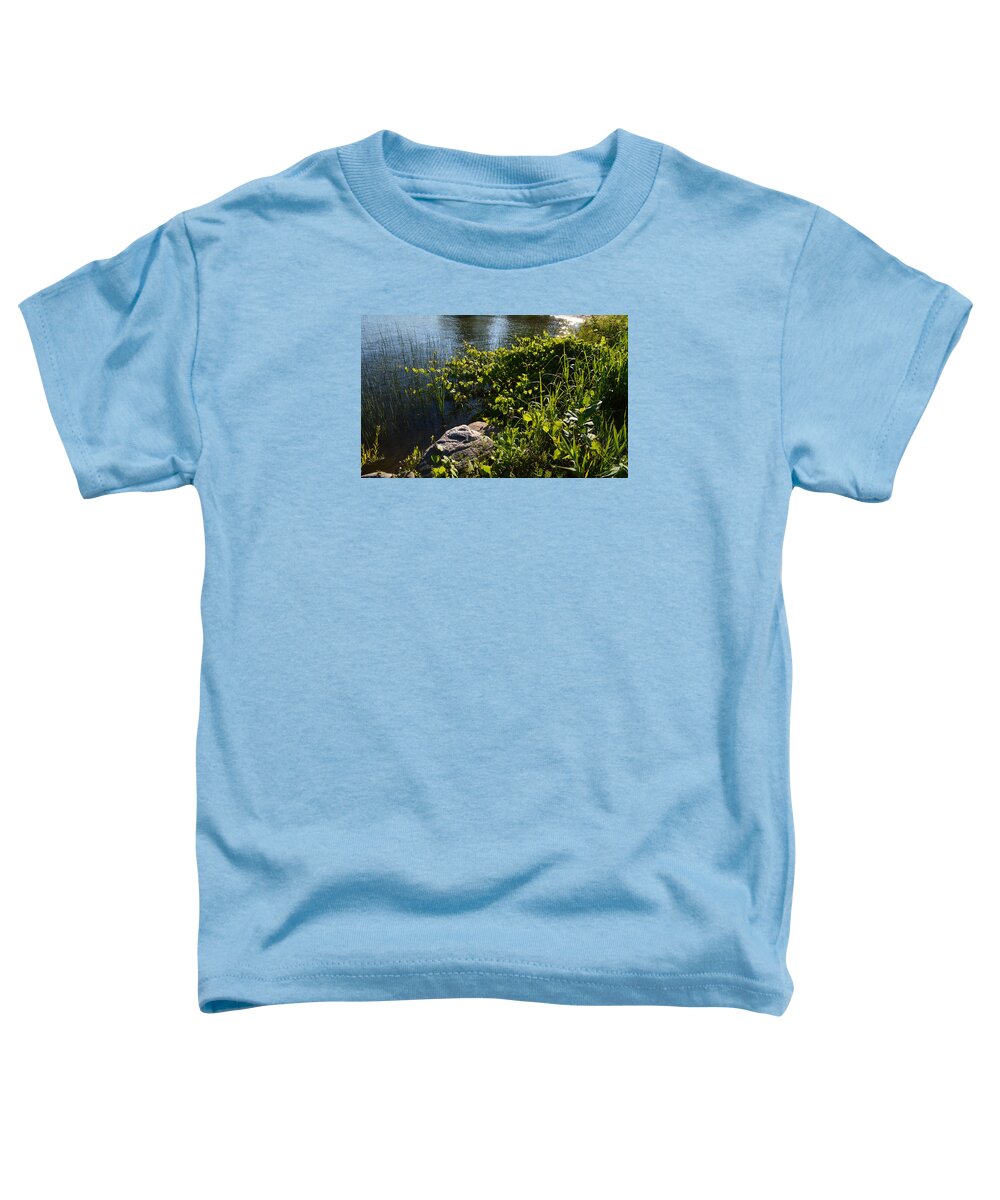 Nature Toddler T-Shirt featuring the photograph Backlight Plants By The Water by Lyle Crump