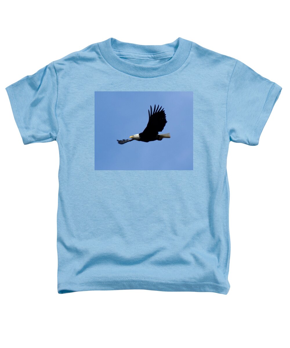 Spokane Toddler T-Shirt featuring the photograph Bald Eagle Soaring High by Ben Upham III