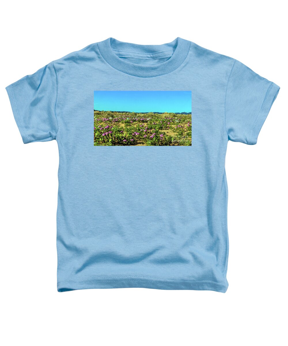 Arizona Toddler T-Shirt featuring the photograph Blooming Sand Verbena by Robert Bales