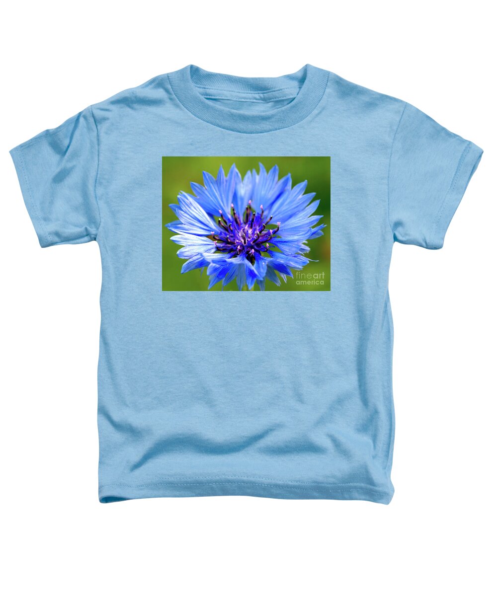 Macro Toddler T-Shirt featuring the photograph Blue Cornflower by Baggieoldboy