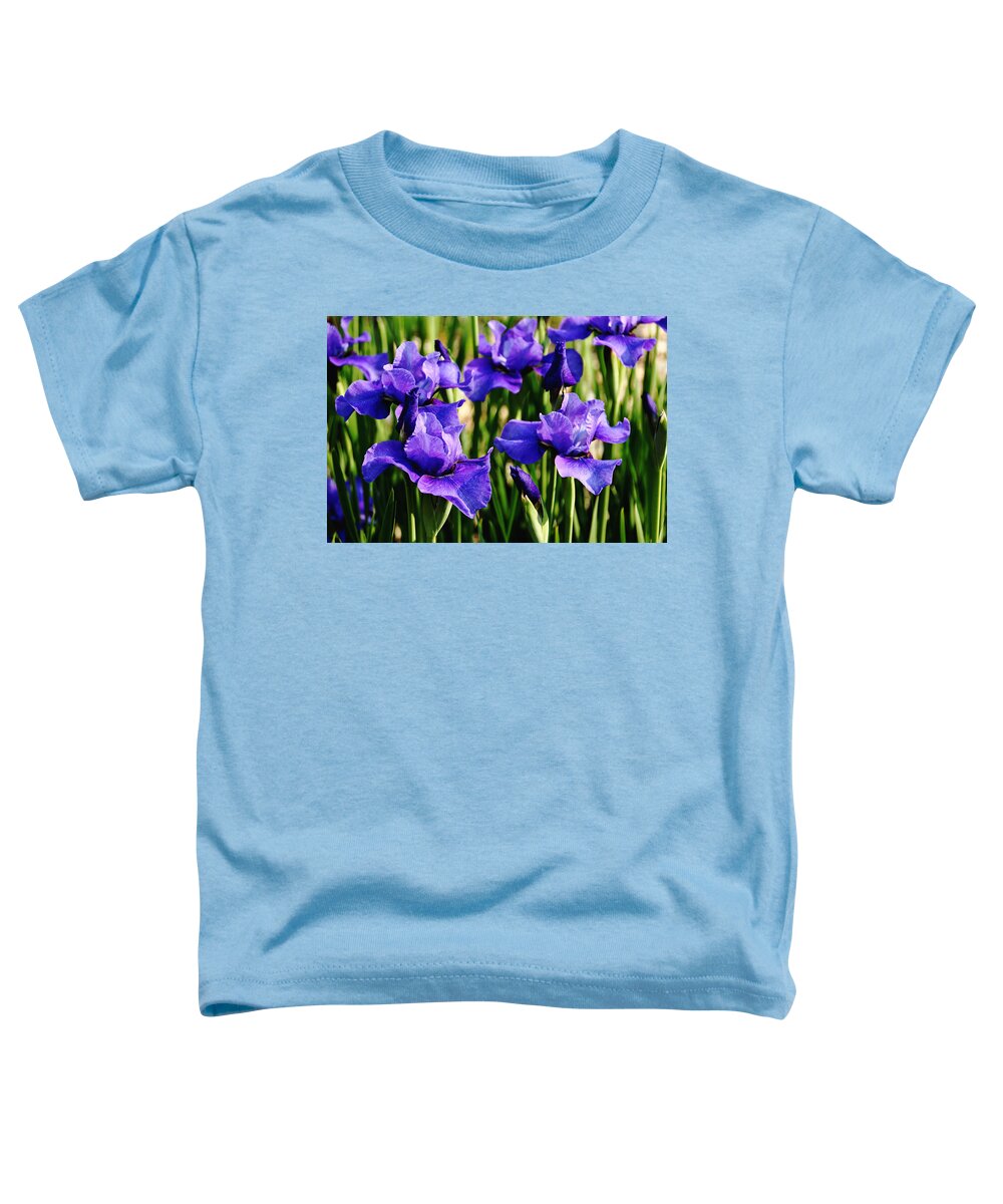 Siberian Iris Toddler T-Shirt featuring the photograph Blue Velvet by Debbie Oppermann