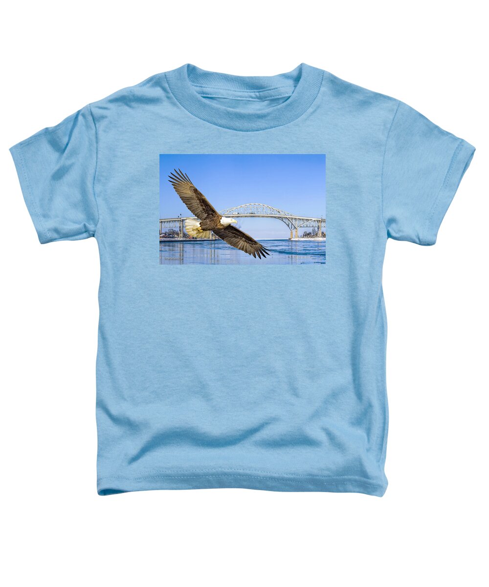 Eagle Toddler T-Shirt featuring the photograph Blue water American Bald Eagle by LeeAnn McLaneGoetz McLaneGoetzStudioLLCcom