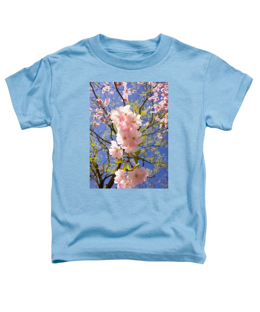 Pink Toddler T-Shirt featuring the photograph Bright pink blossoms in spring by Matthias Hauser