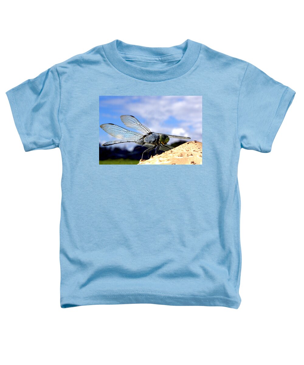 Dragonfly Toddler T-Shirt featuring the photograph Dragonfly on a mushroom 001 by Christopher Mercer