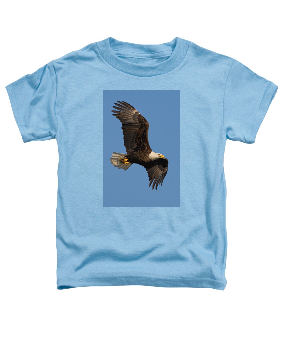 Eagle Toddler T-Shirt featuring the photograph Eagle in Sunlight by William Jobes