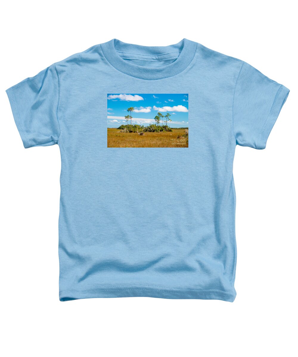 Beauty Toddler T-Shirt featuring the photograph Everglades landscape by Amanda Mohler