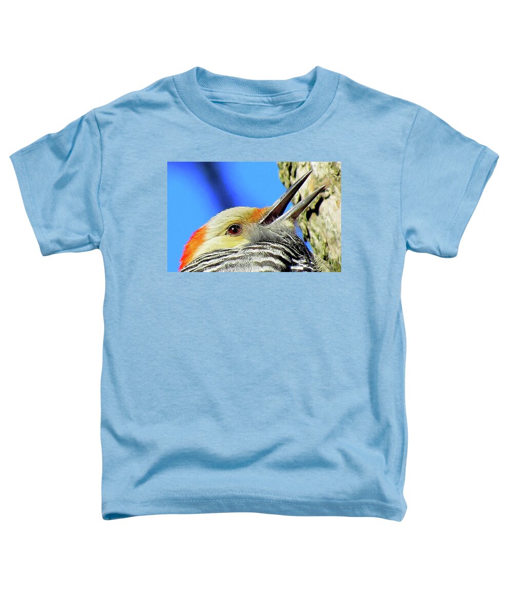Woodpeckers Toddler T-Shirt featuring the photograph Female Red-bellied Woodpecker Close Up by Linda Stern