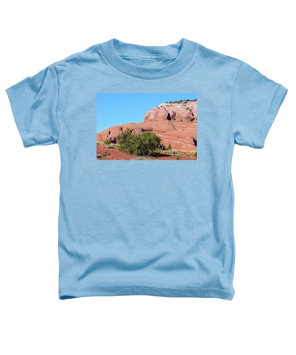 Rock Toddler T-Shirt featuring the photograph For the Novice Rock Climber by Tom Cochran