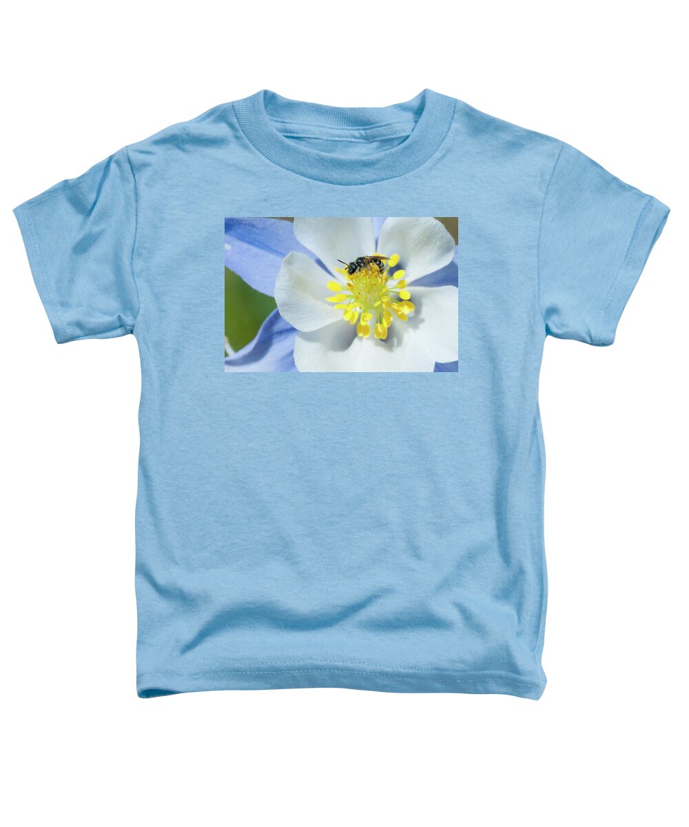 Colorado Toddler T-Shirt featuring the photograph Gathering Pollen by Julia McHugh