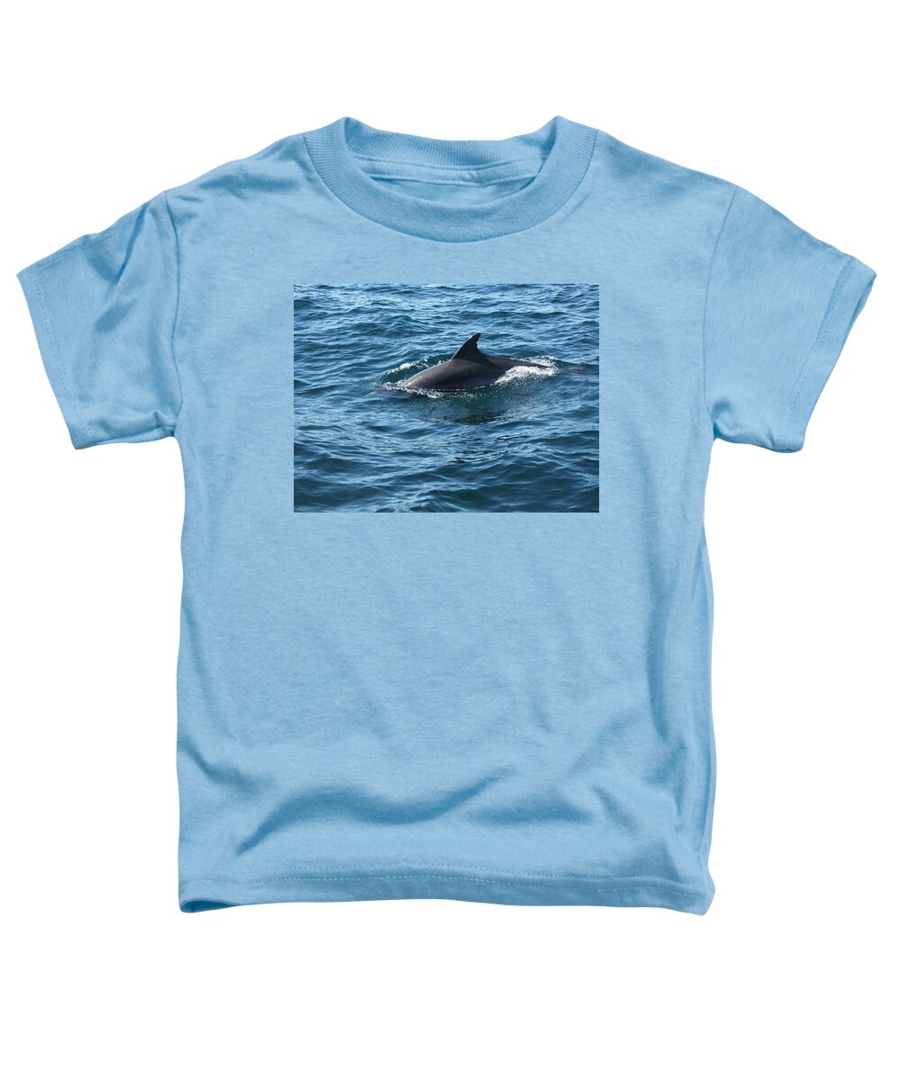 Dolphin Toddler T-Shirt featuring the photograph Gibraltar Dolphin by Hannah Rose