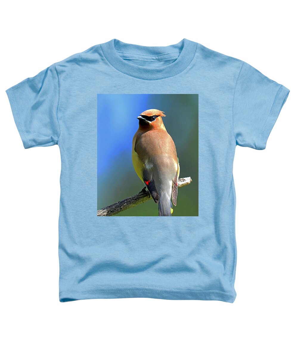 Waxwing Toddler T-Shirt featuring the photograph Gorgeous Cedar Waxwing by Rodney Campbell