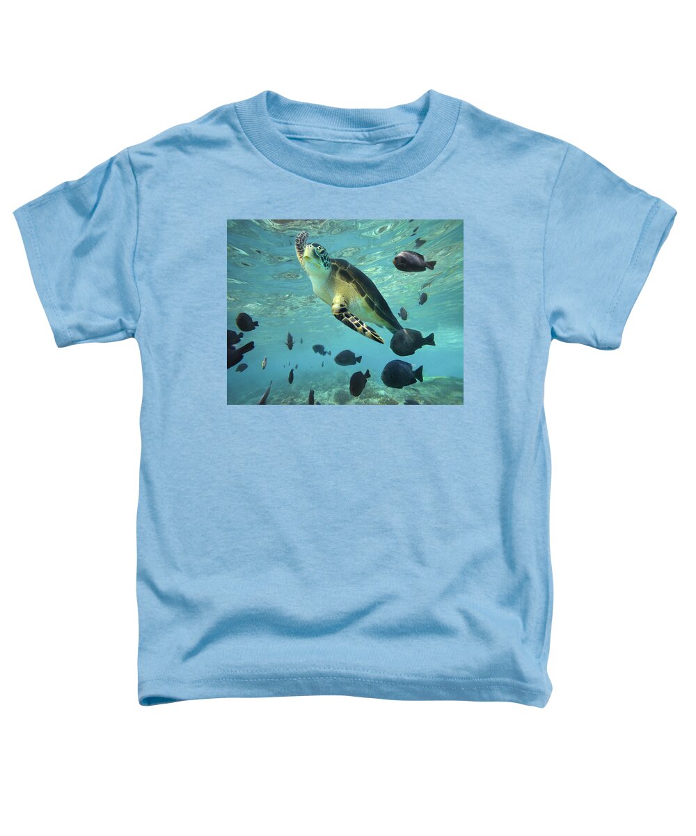 00451420 Toddler T-Shirt featuring the photograph Green Sea Turtle Balicasag Island by Tim Fitzharris