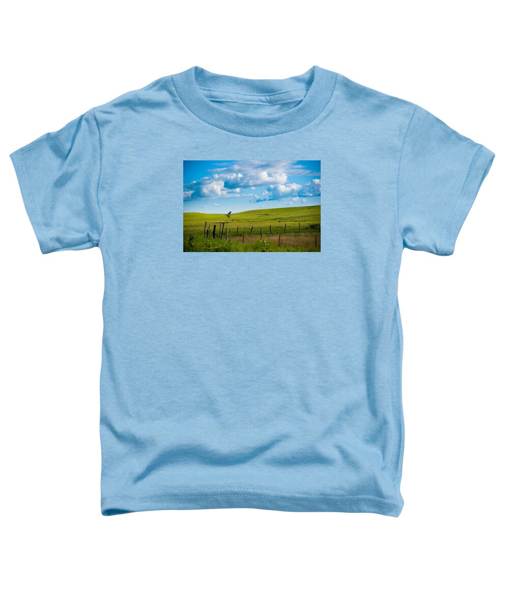 Nature Toddler T-Shirt featuring the photograph Hawk and Flint Hills by Jeff Phillippi