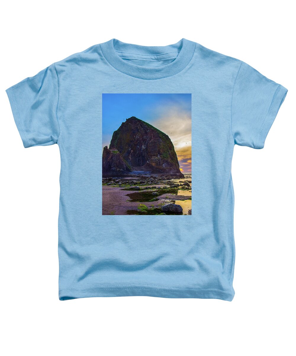 Oregon Toddler T-Shirt featuring the photograph Haystack Rock - low tide by David Lee