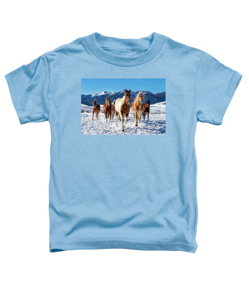 Horse Toddler T-Shirt featuring the photograph Horses in Winter by David Soldano