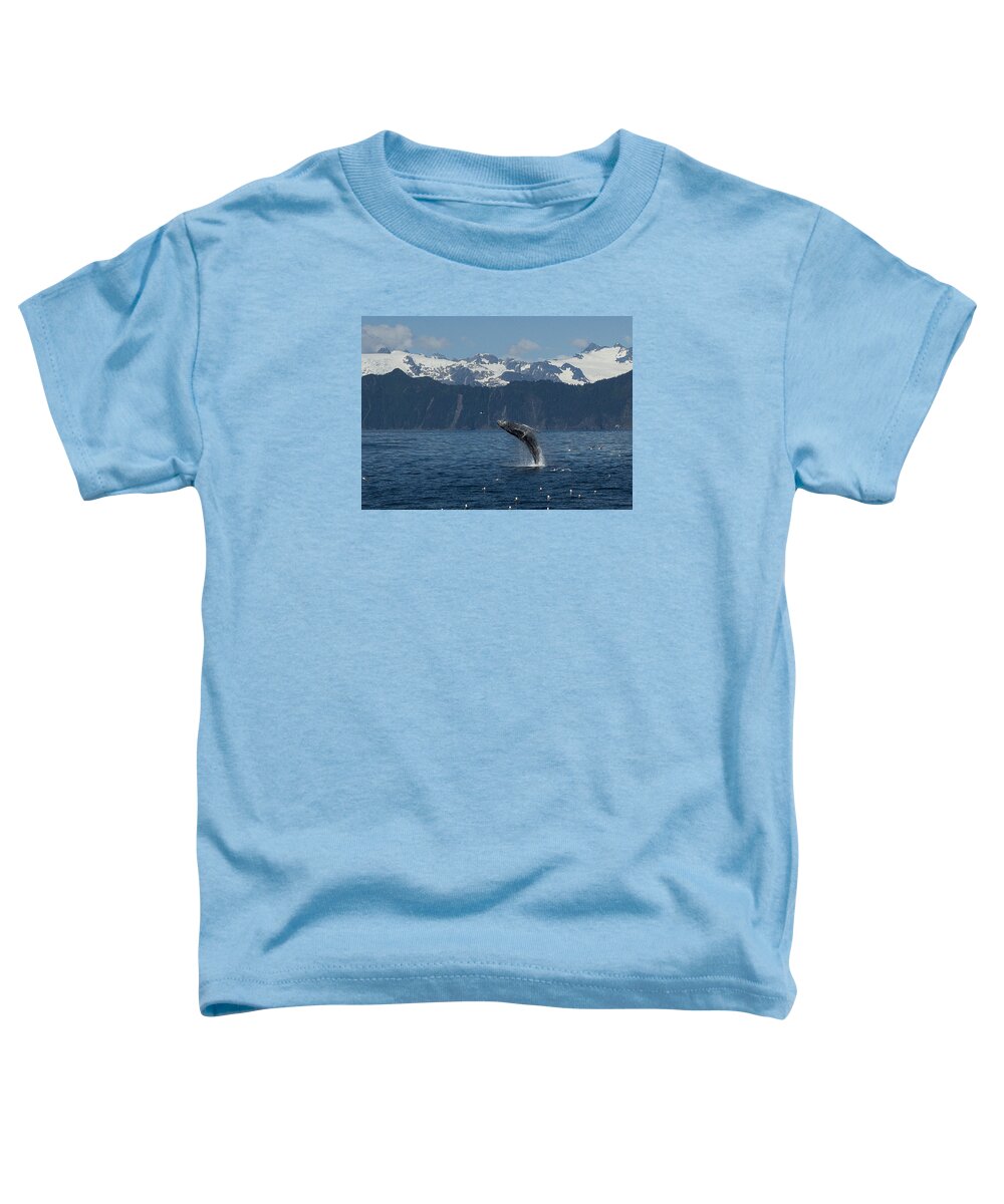 Alaska Toddler T-Shirt featuring the photograph Humback Whale Full Breach by Ian Johnson