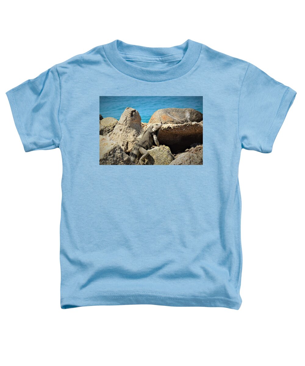 Iguana Toddler T-Shirt featuring the pyrography Iguana by Gary Smith