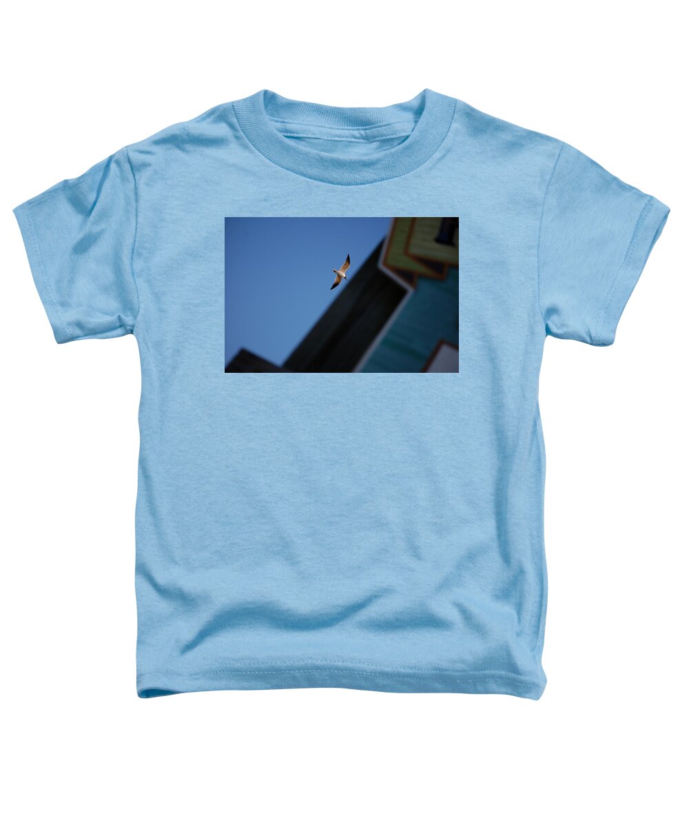 Seagull Toddler T-Shirt featuring the photograph In Flight by Robert Meanor