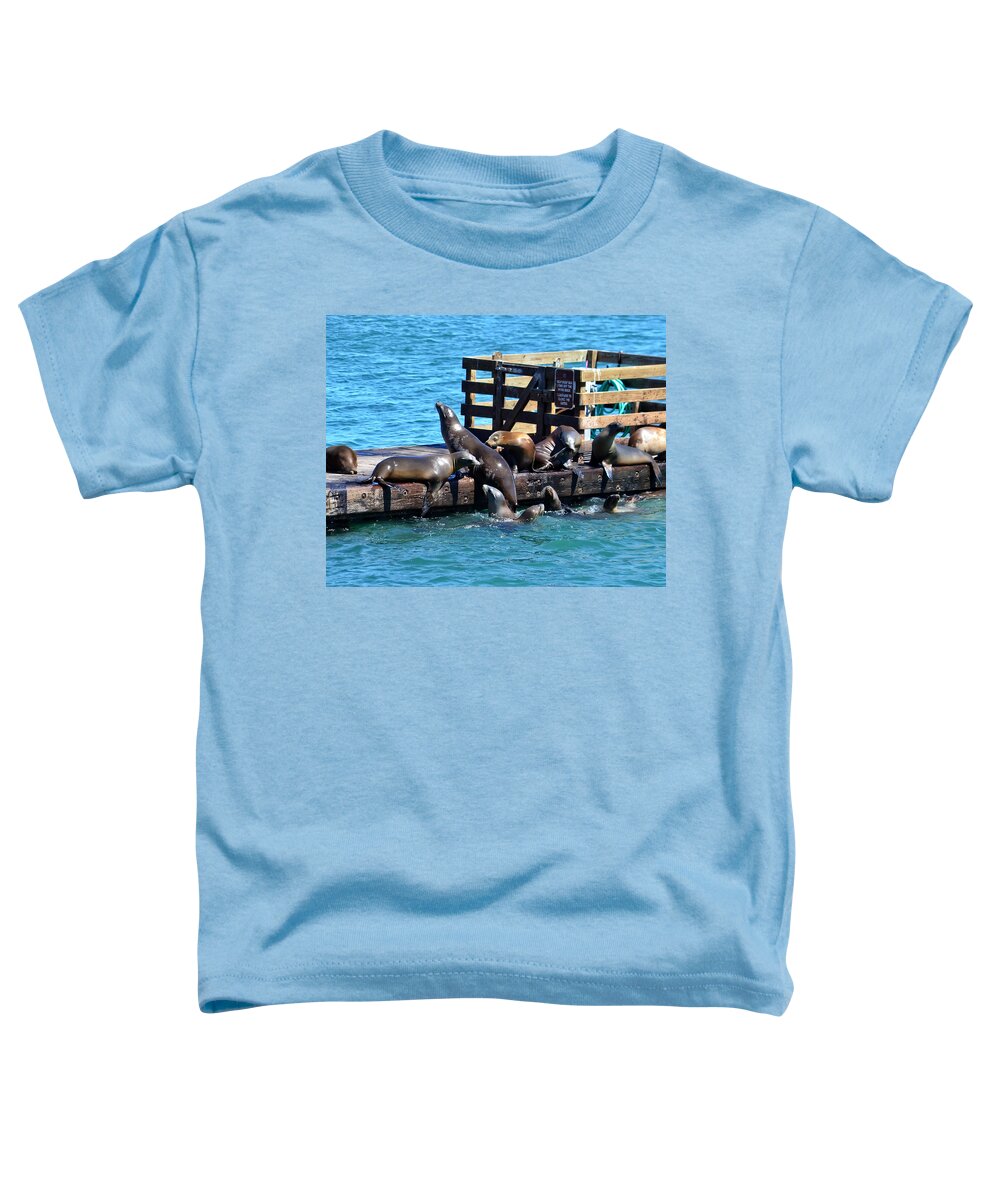 Seals Toddler T-Shirt featuring the photograph Keep Off the Dock - Sea lions Can't Read by Anthony Murphy