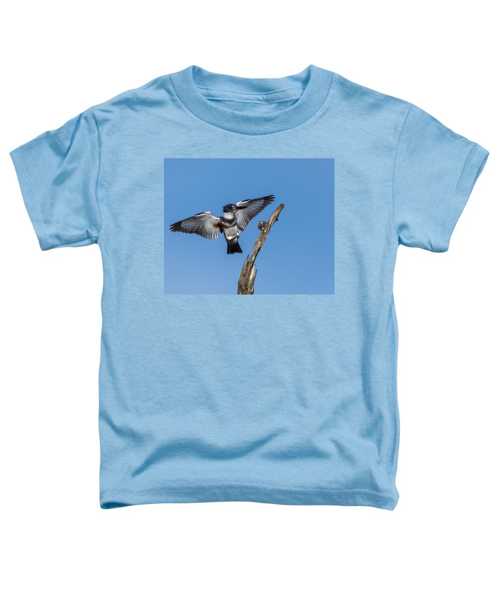 Kingfisher Toddler T-Shirt featuring the photograph Kingfisher Landing by Jim Miller