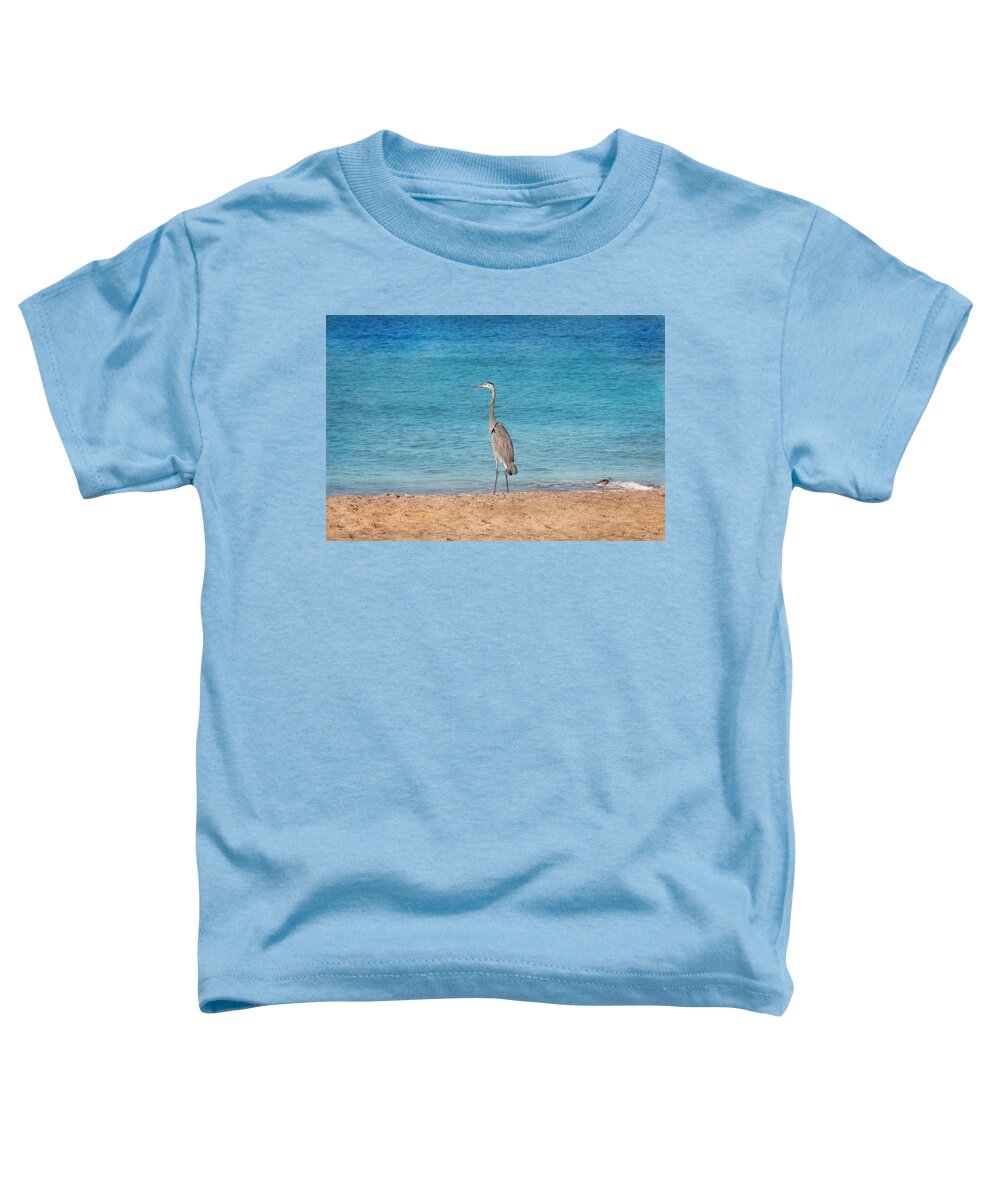Great Blue Heron Toddler T-Shirt featuring the photograph Looking Out To Sea by Kim Hojnacki