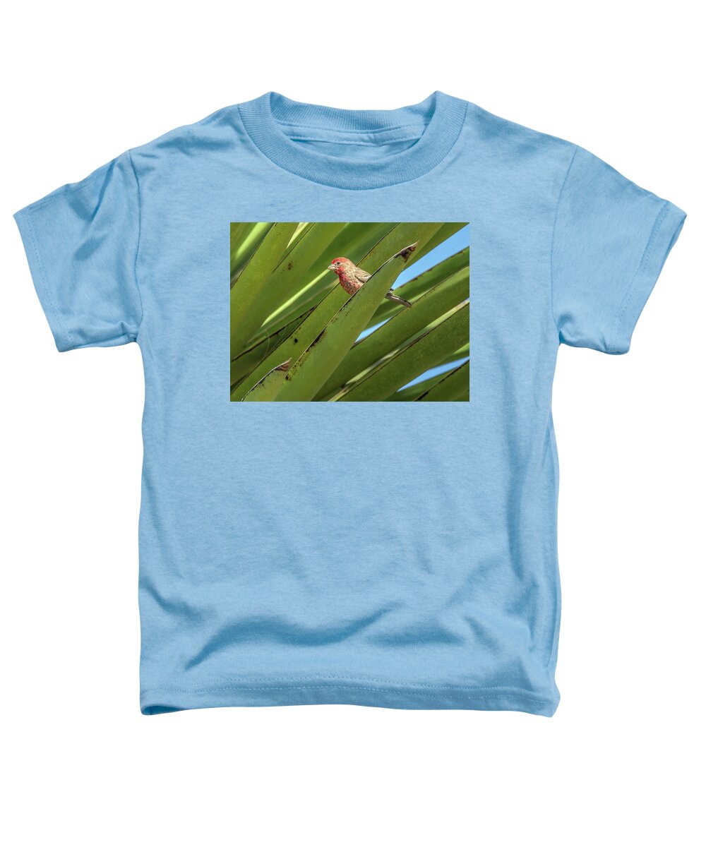 House Toddler T-Shirt featuring the photograph Male House Finch 7498 by Tam Ryan