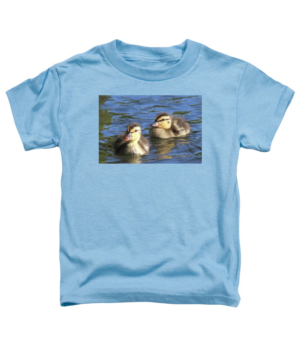 Mallard Duck Toddler T-Shirt featuring the photograph Mallard Ducklings Stony Brook New York by Bob Savage