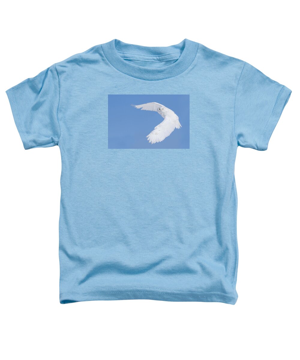 Art Toddler T-Shirt featuring the photograph Mr Snowy Owl by Mircea Costina Photography