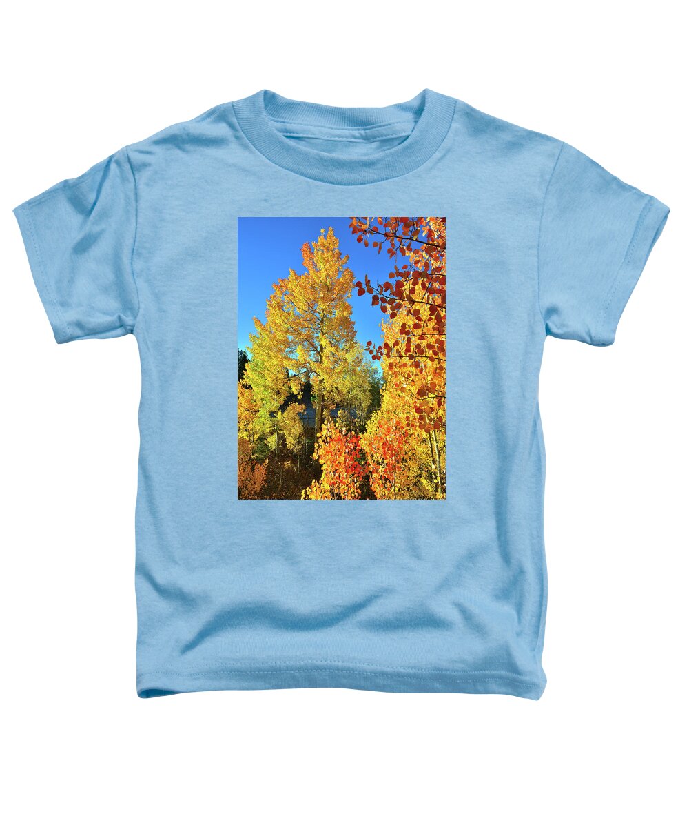 Colorado Toddler T-Shirt featuring the photograph Multicolored Aspens at Dillon Reservoir by Ray Mathis