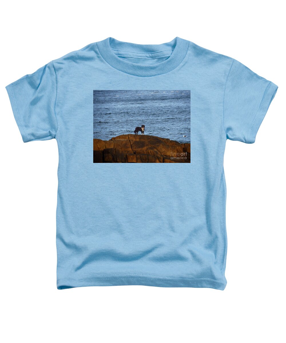 Dog Toddler T-Shirt featuring the photograph Ocean Dog by Metaphor Photo