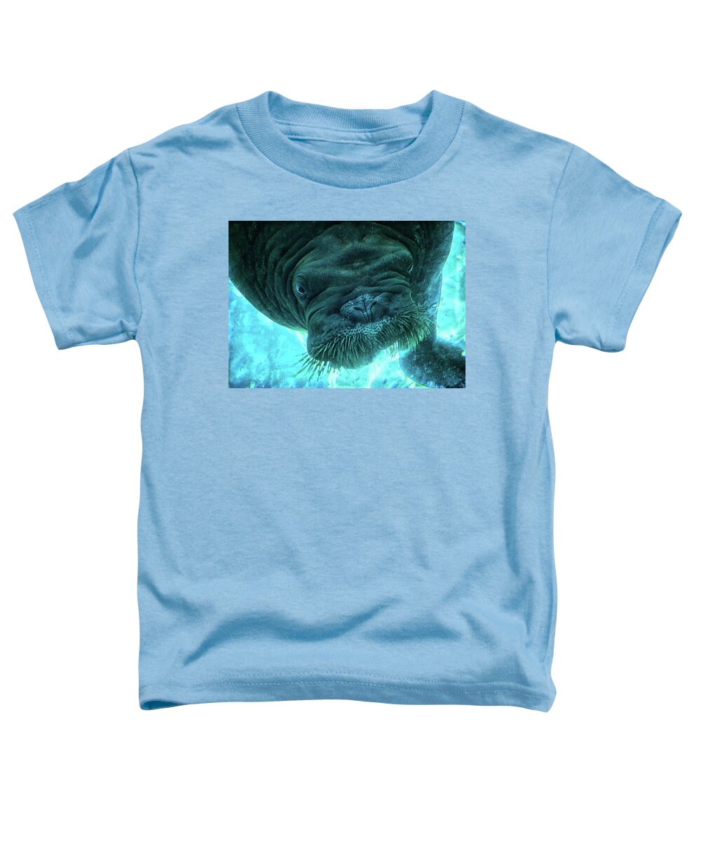 Animal Toddler T-Shirt featuring the photograph Oh hey there by Camille Lopez