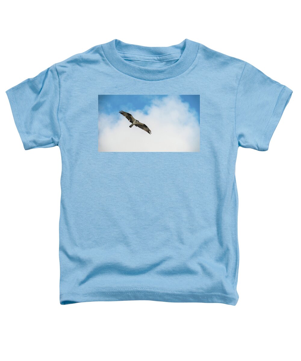 Florida Toddler T-Shirt featuring the photograph Osprey Soars Delray Beach Florida by Lawrence S Richardson Jr