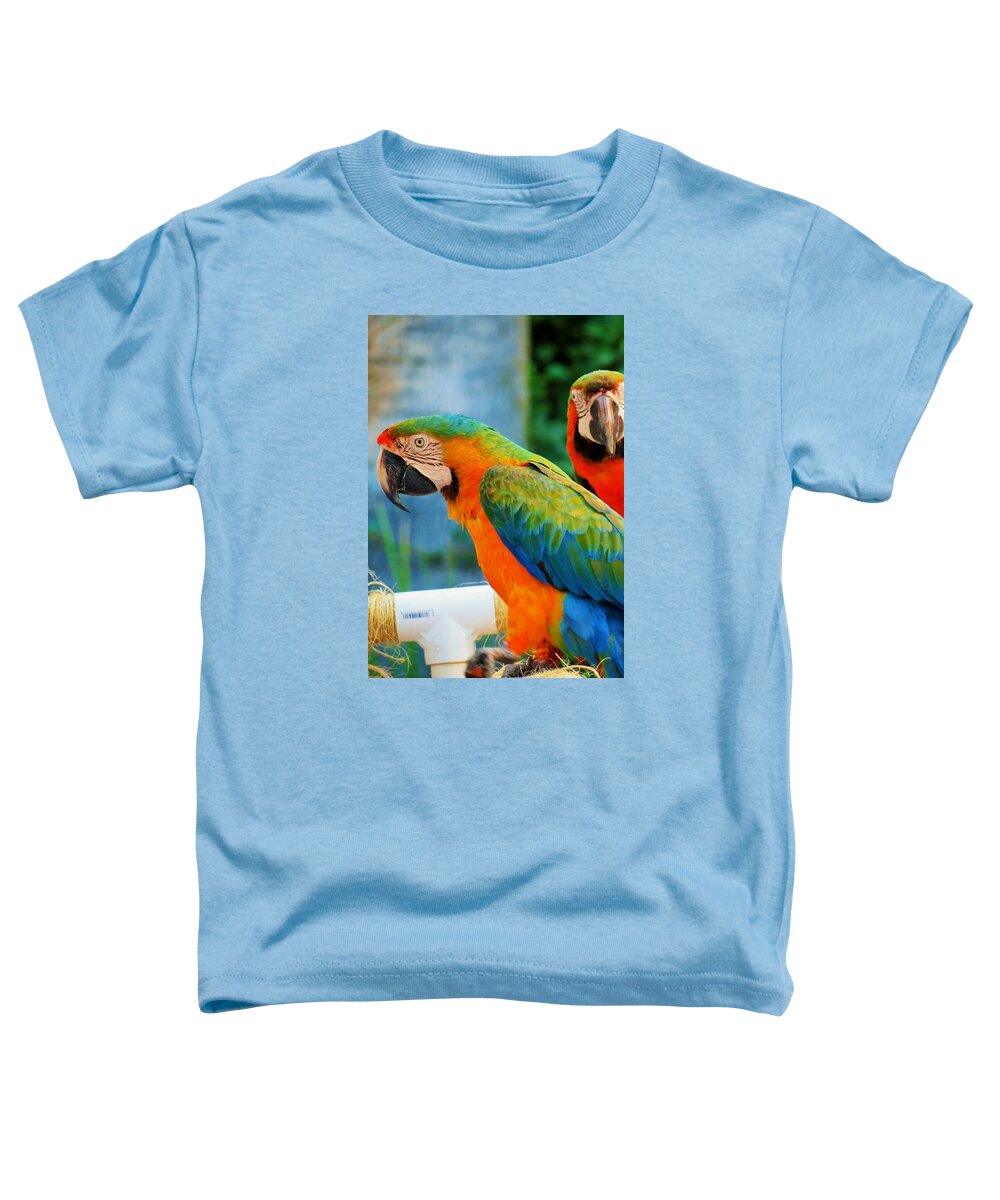 Parrots Toddler T-Shirt featuring the photograph Picture Perfect Parrots by Vijay Sharon Govender