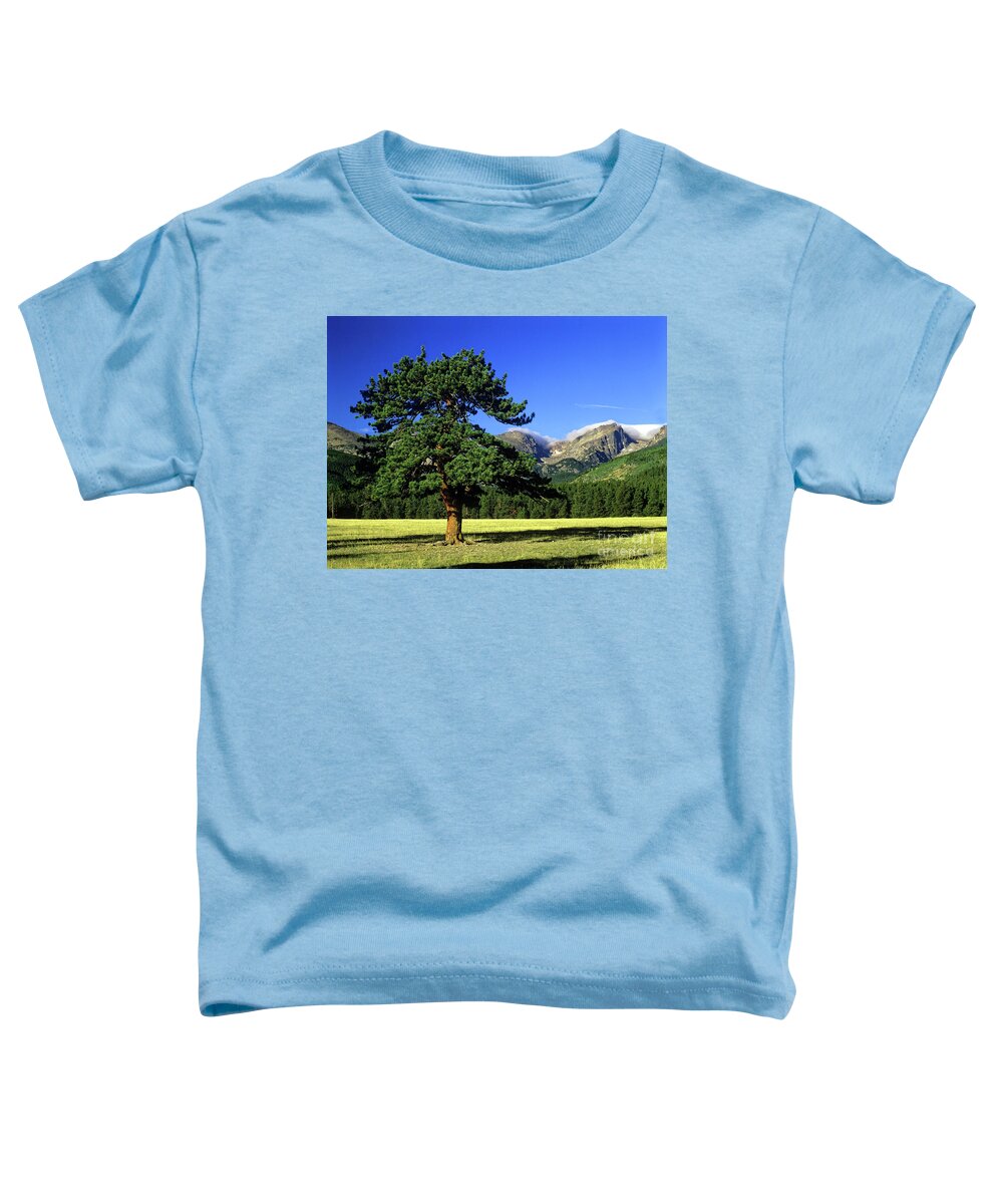 Rocky Mountain National Park Toddler T-Shirt featuring the photograph Pine tree, Rocky Mountain National Park, Colorado by Kevin Shields