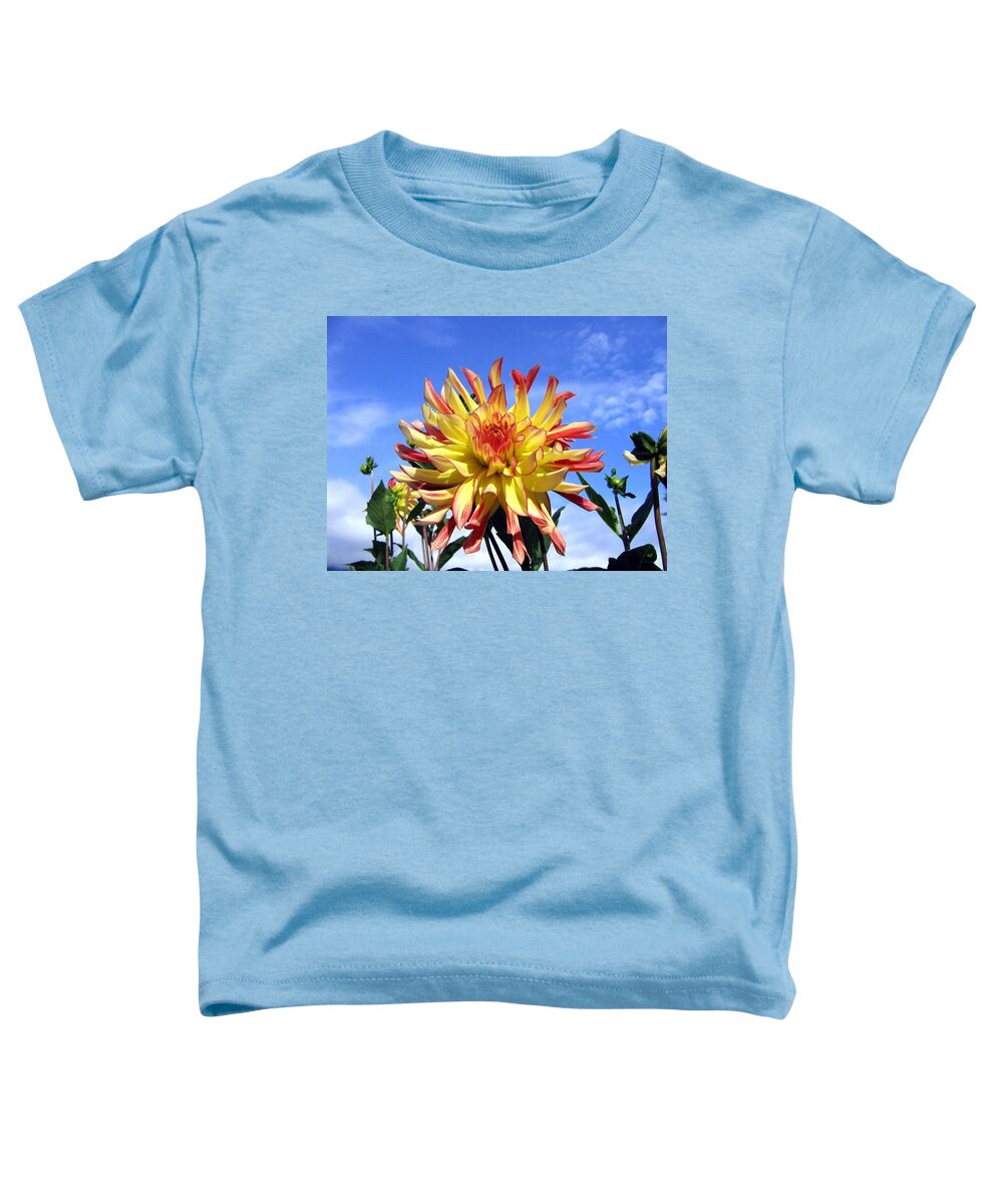 Dahlia Toddler T-Shirt featuring the photograph Pinwheel Dahlia by Will Borden