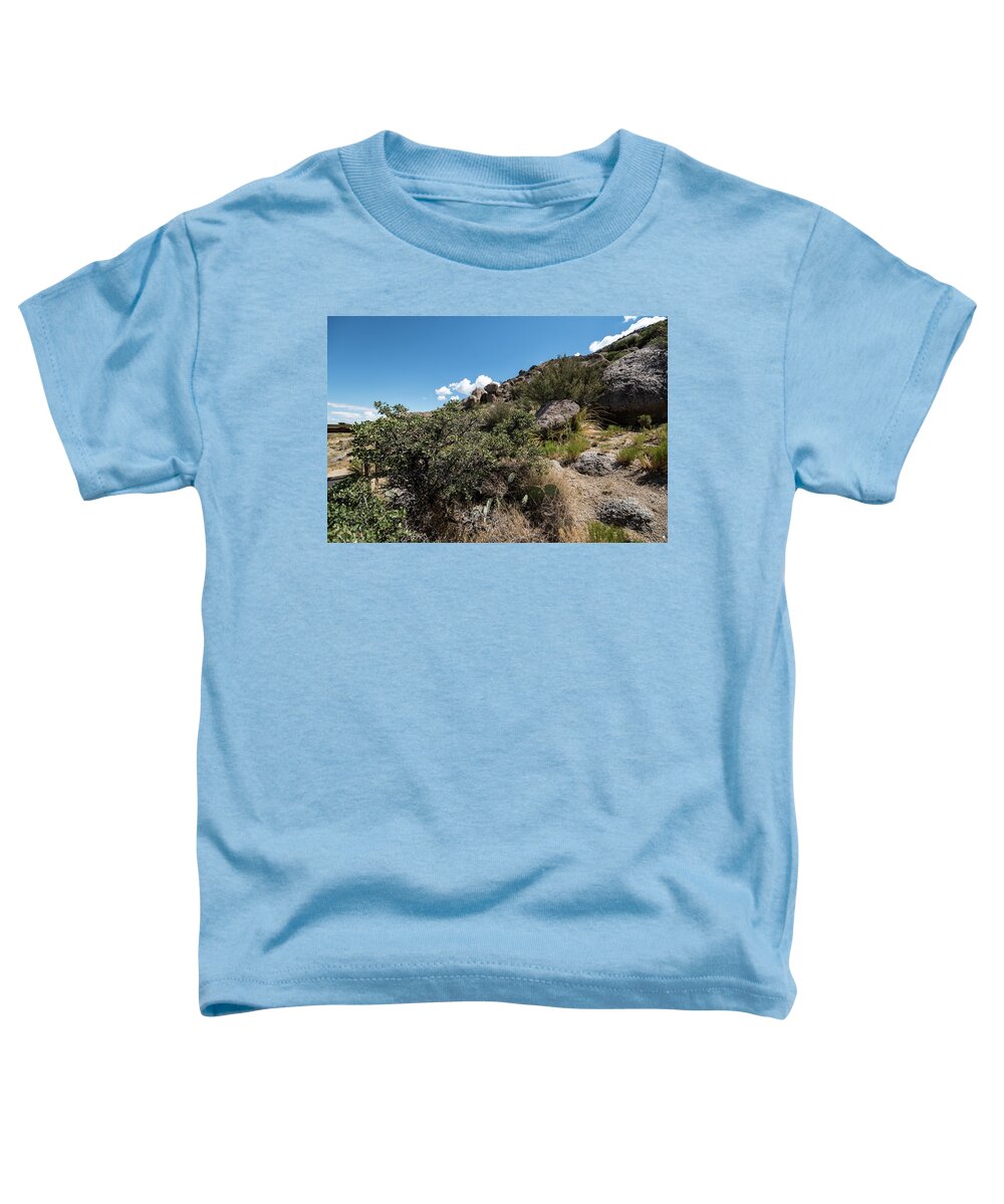 Prickly Pear And Creosote Toddler T-Shirt featuring the photograph Prickly Pear and Creosote by Tom Cochran