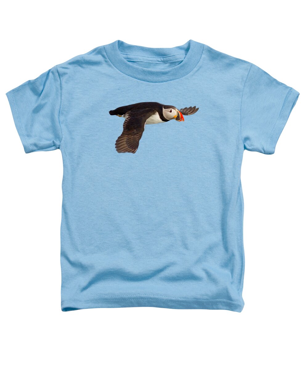 Puffin Toddler T-Shirt featuring the photograph Puffin in flight T-shirt by Tony Mills