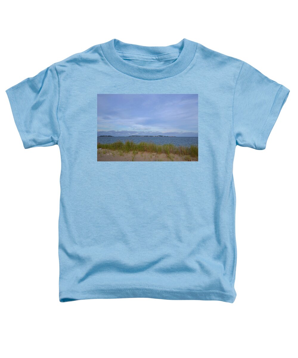 Revere Toddler T-Shirt featuring the photograph Revere Beach wooden fence bird sanctuary by Toby McGuire