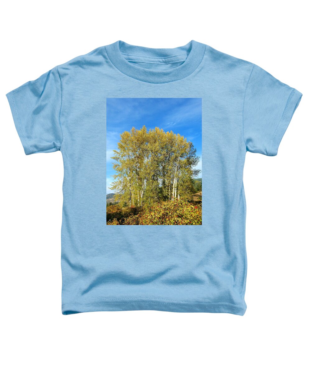 #rosehipsandcottonwoods Toddler T-Shirt featuring the photograph Rosehips And Cottonwoods by Will Borden