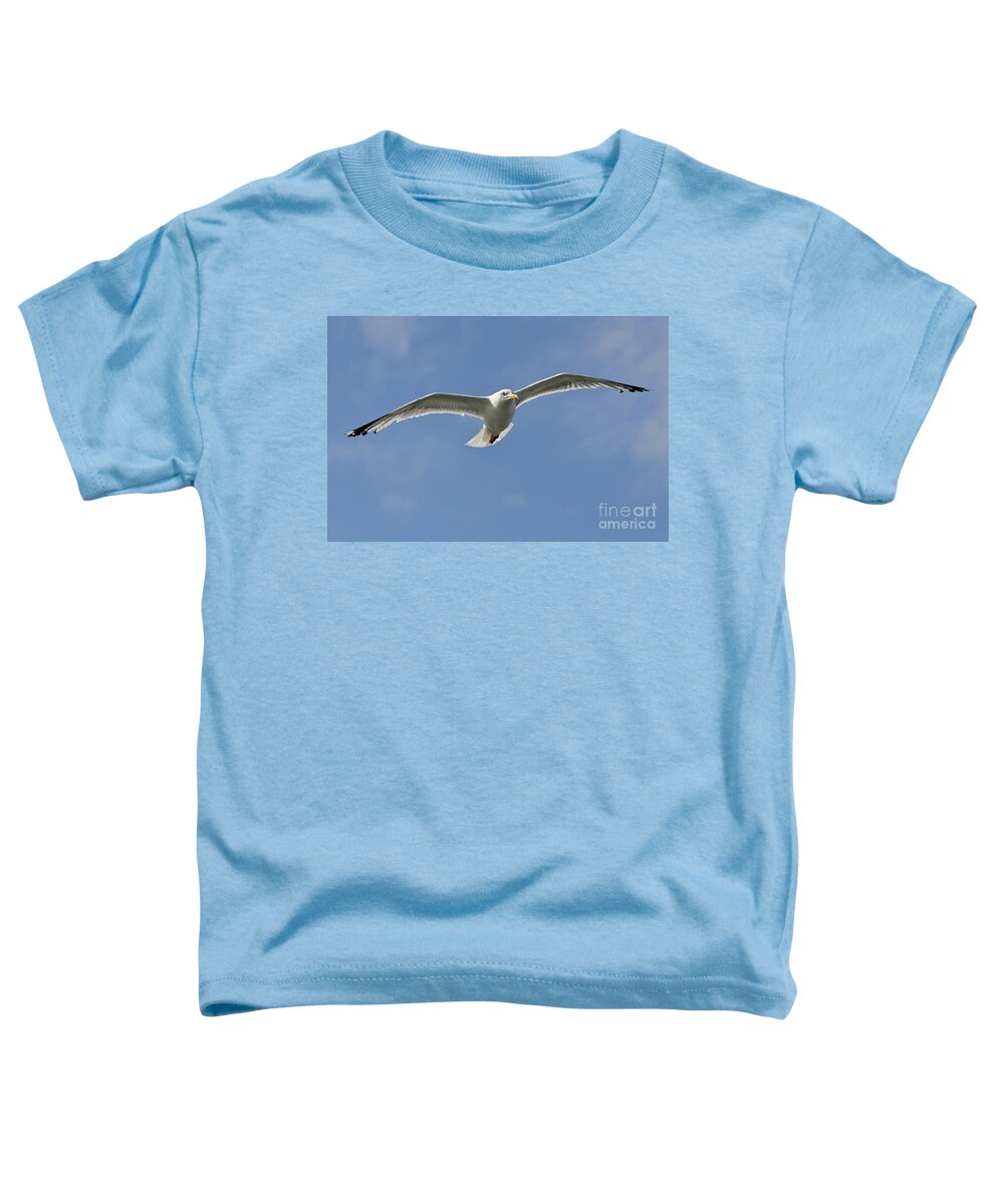 Gull Toddler T-Shirt featuring the photograph Seagull patrol by Steev Stamford