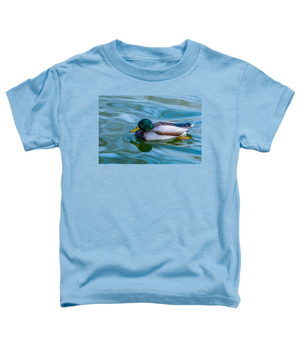 Duck Toddler T-Shirt featuring the photograph Swimming Duck by Pamela Williams