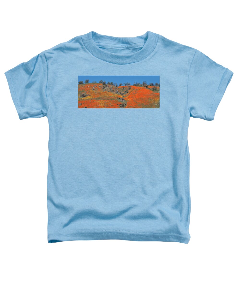 Spring Toddler T-Shirt featuring the photograph Tejon Pass Poppy Panorama by Lynn Bauer